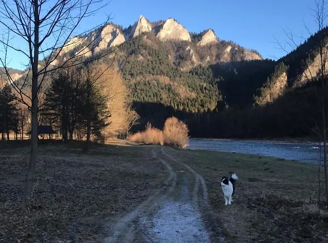 בית אירוח Widok